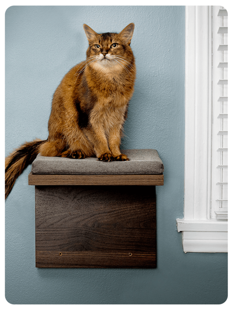 Reversible Walnut Cat Shelves • hauspanther