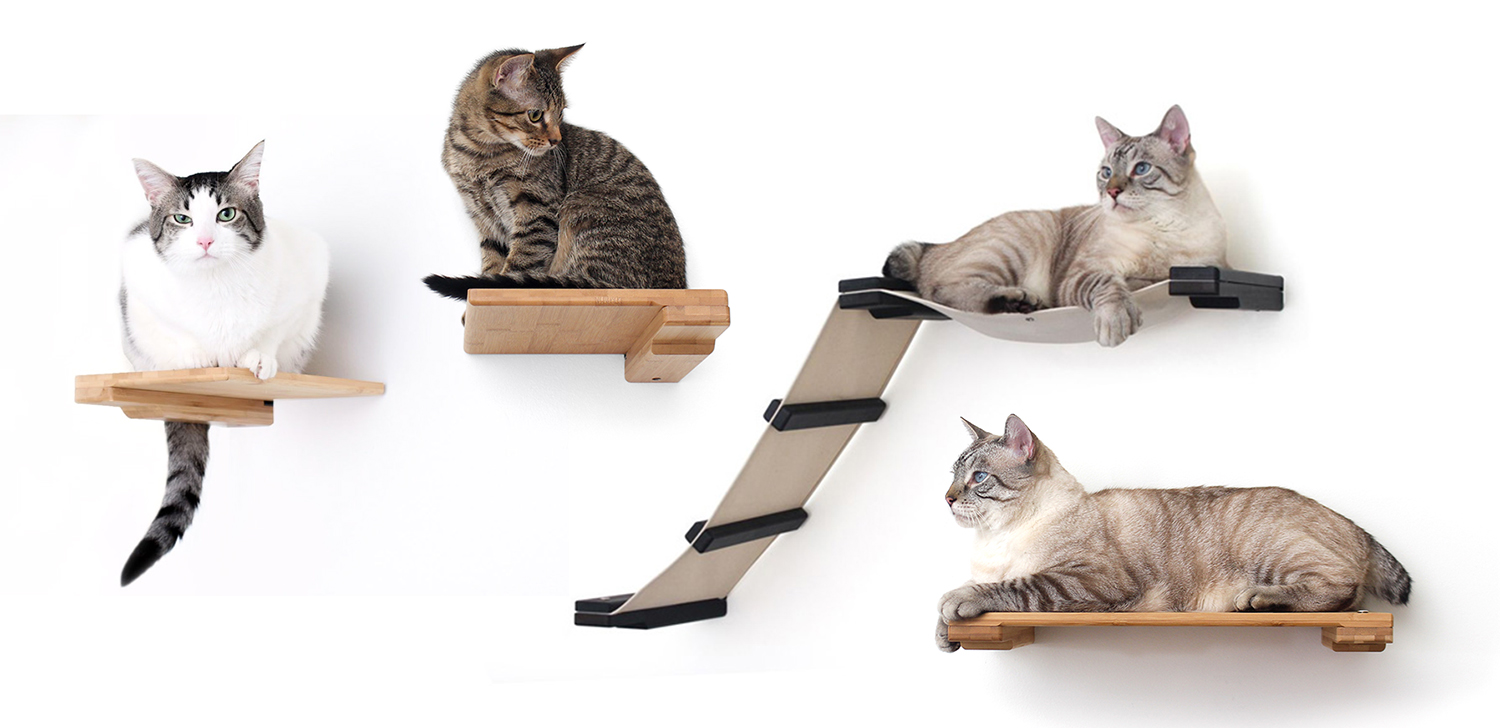 Variety of unique cat shelves