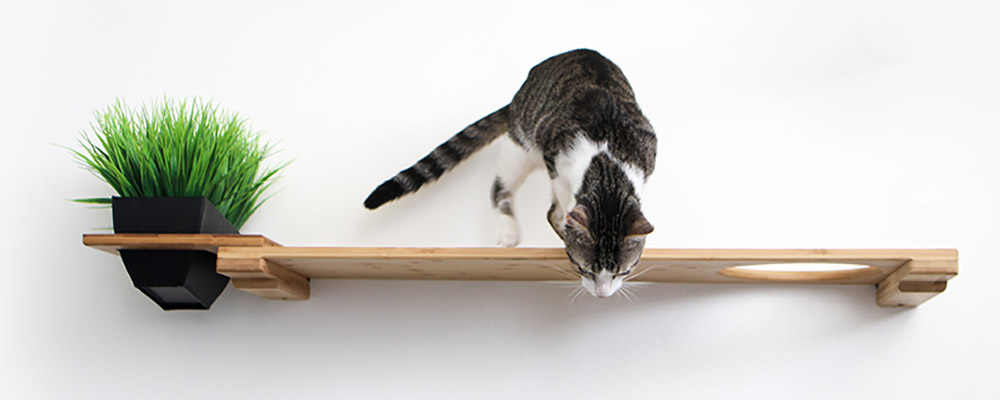 Cat shelf with plant holder