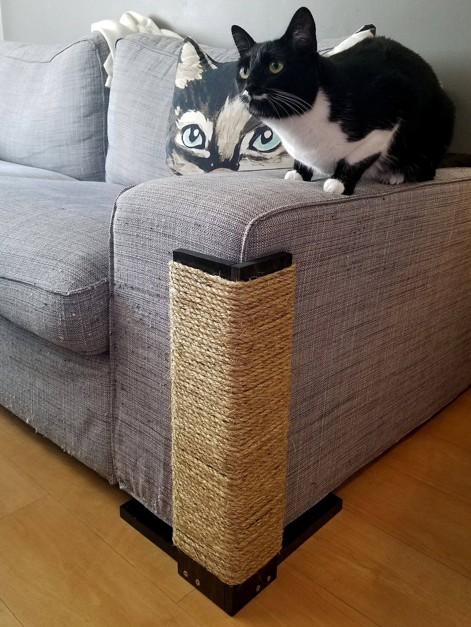 Cat Sofa Scratcher Baci Living Room