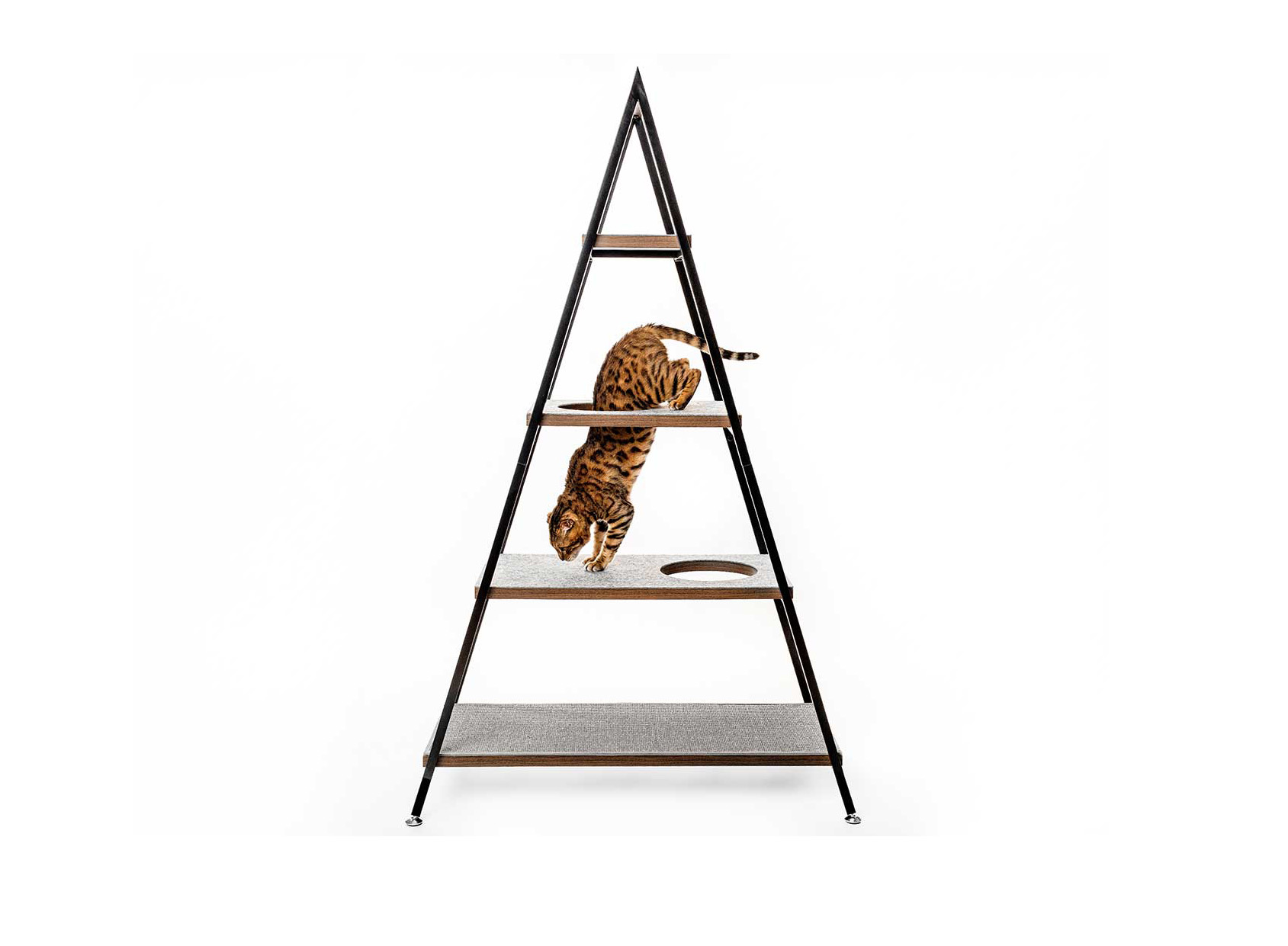 Cat Pyramid Modern Climber • hauspanther