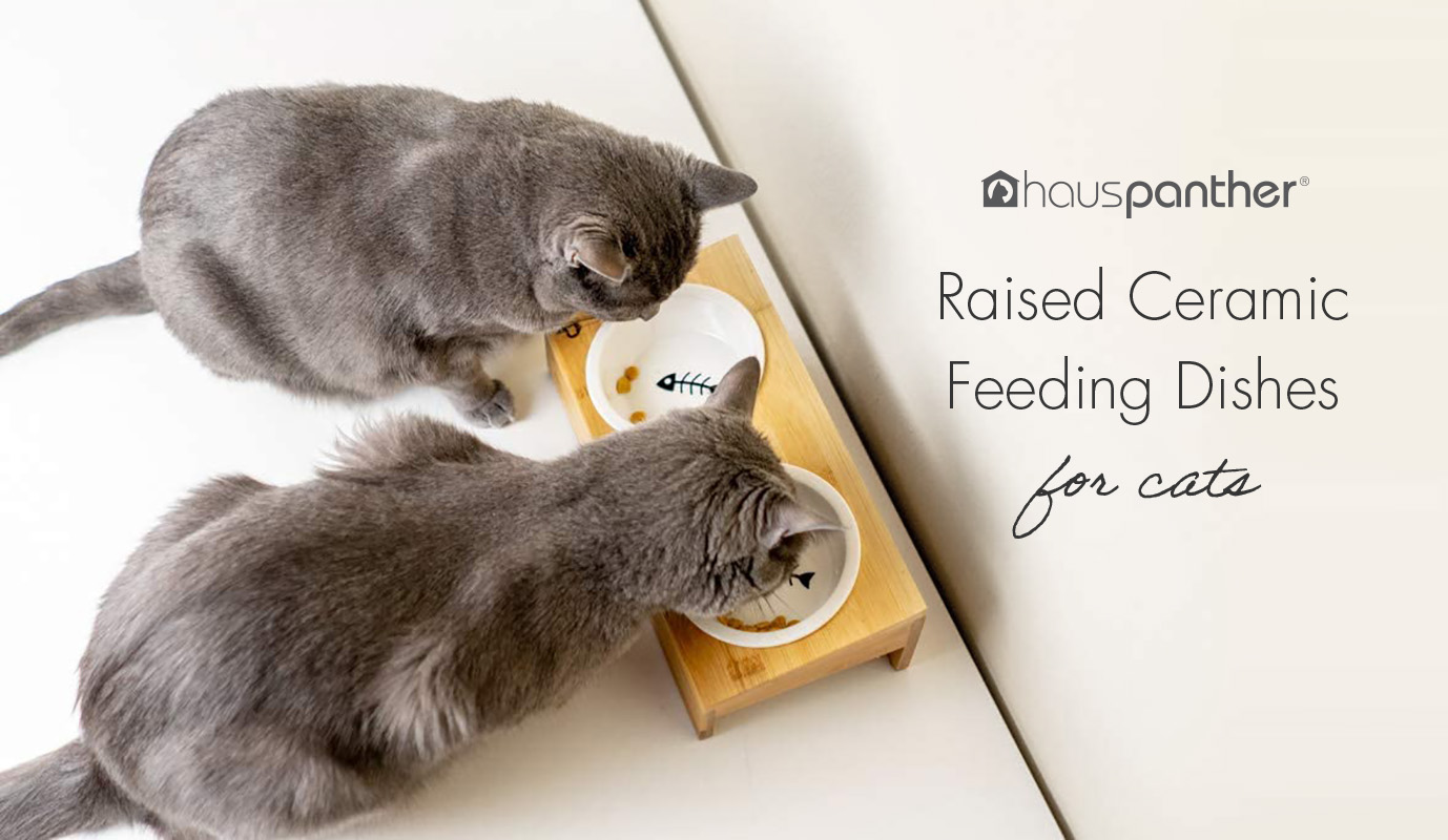 Raised Ceramic Feeding Dishes for Cats • hauspanther