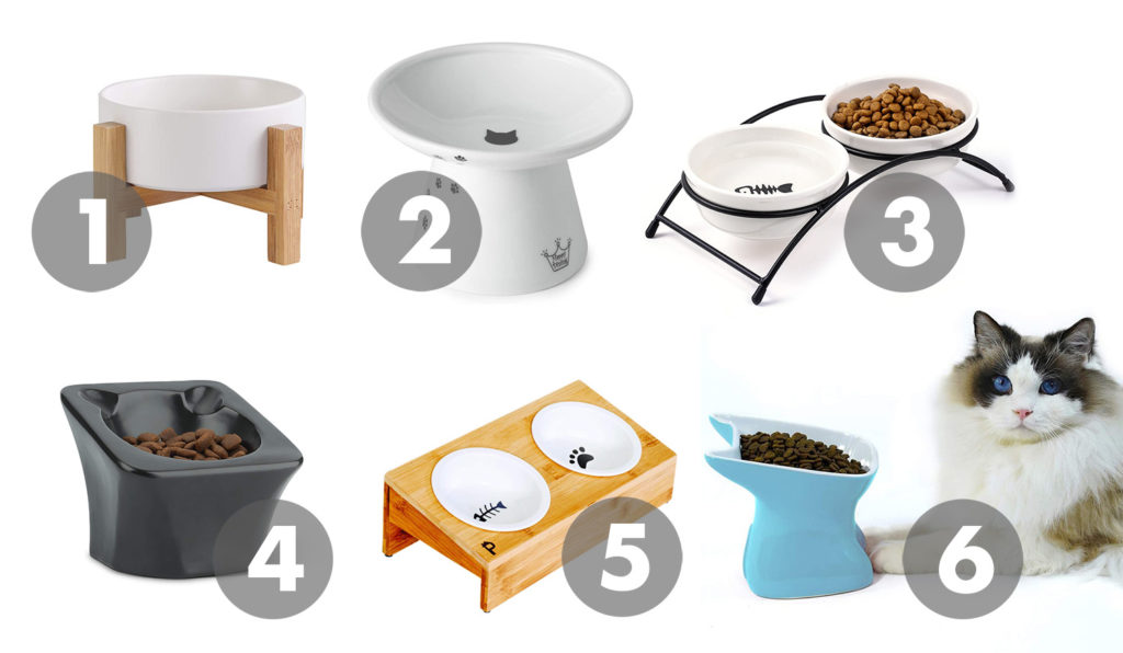 Raised Ceramic Feeding Dishes for Cats • hauspanther