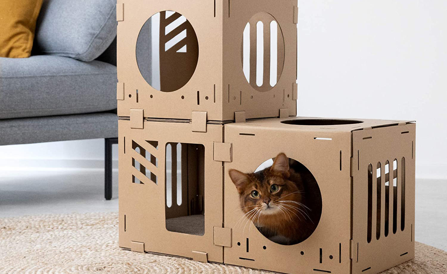 How To Make Cat House Out Of Cardboard At Randyabuncho Blog