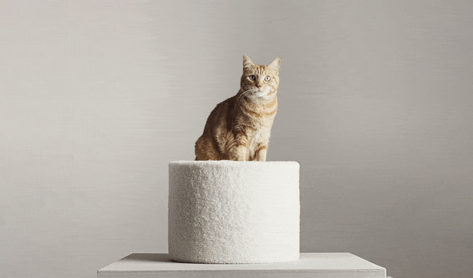 Tufted cat hot sale bed