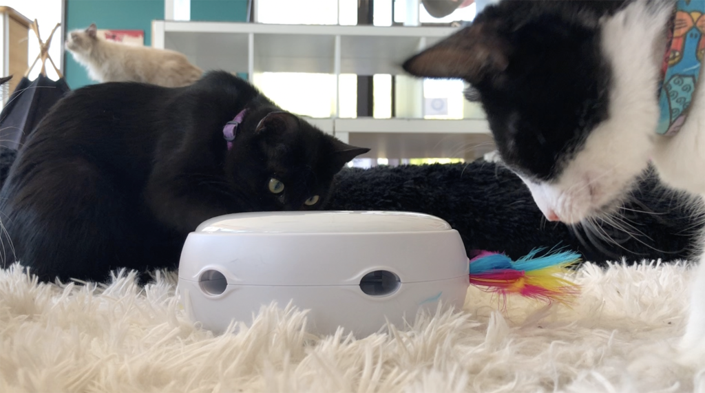 Ambush Interactive Electronic Cat Toy from Pet Fusion