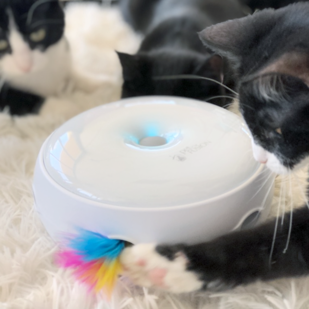 Ambush Interactive Electronic Cat Toy from Pet Fusion • hauspanther