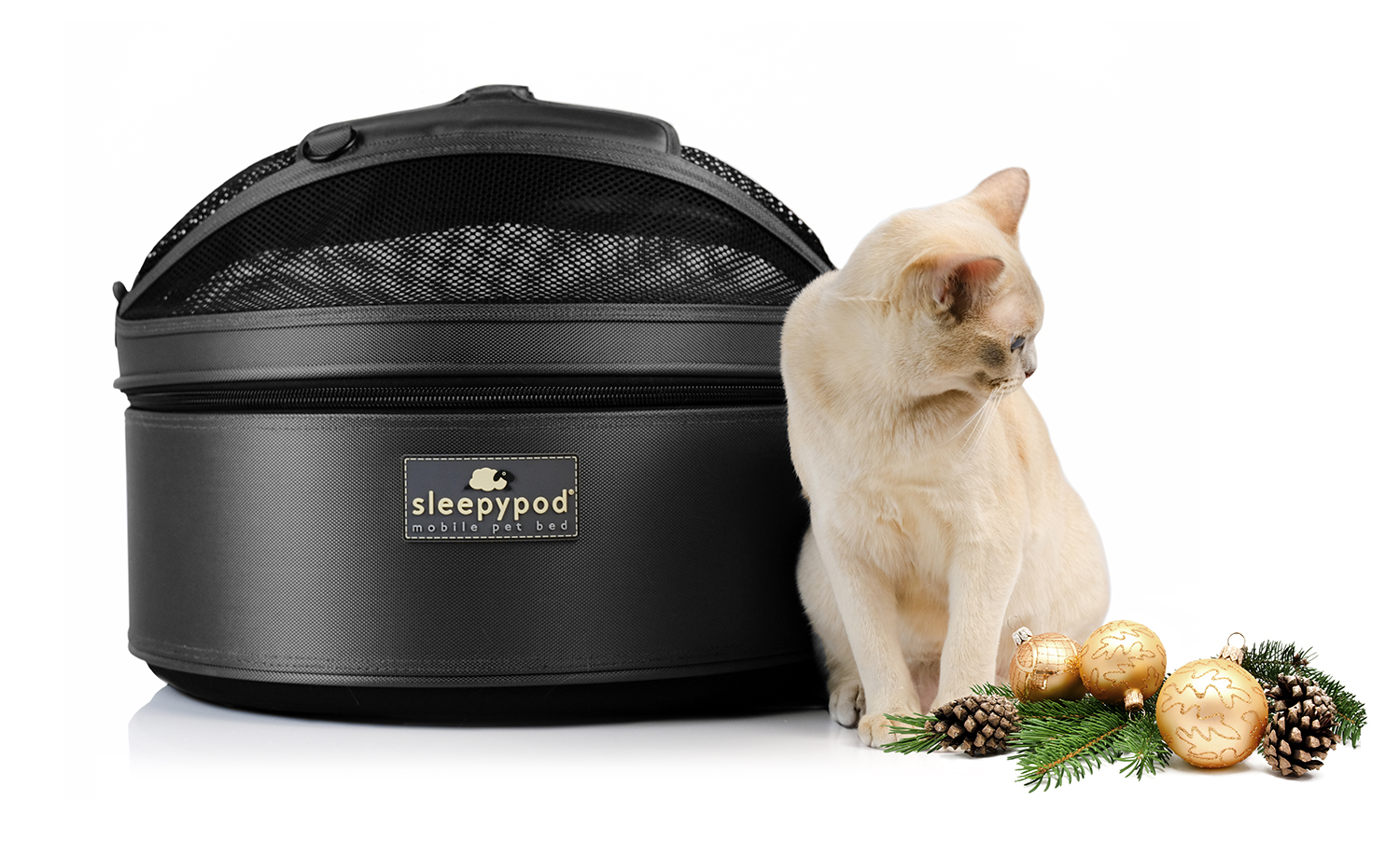 Sleepypod cat hot sale