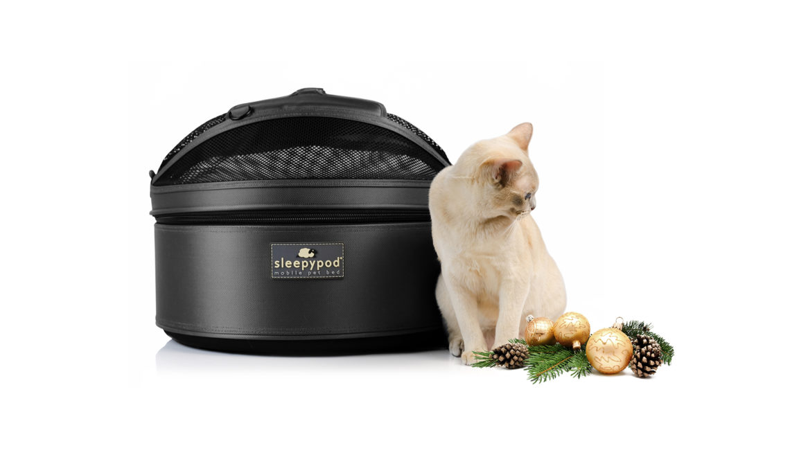 The Transpurrter Ultimate Calming Convertible Cat Carrier in Heather Grey and Teal / Your Cat Backpack