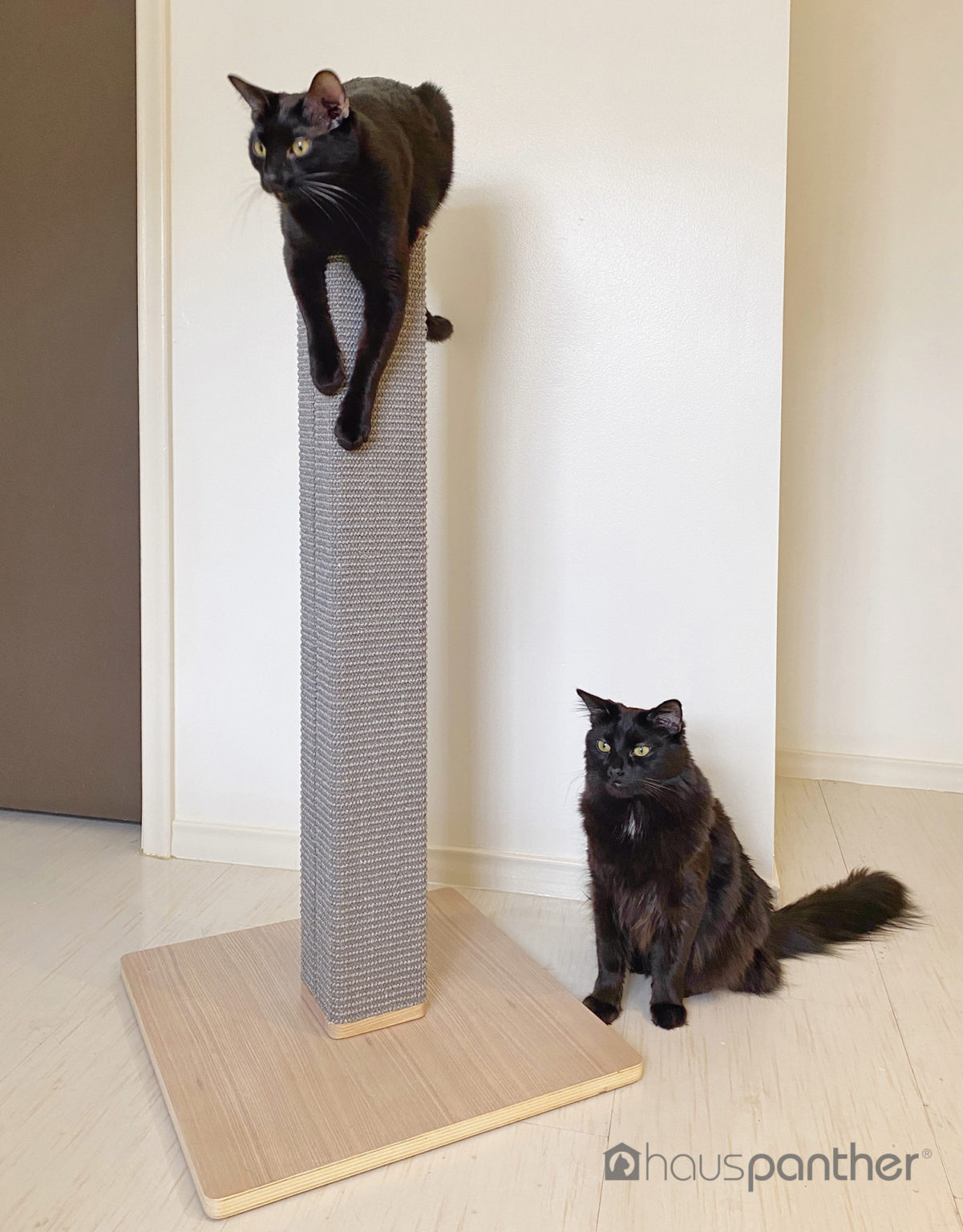 Zip Scratching Post Modern Styling & Elegant Details • hauspanther