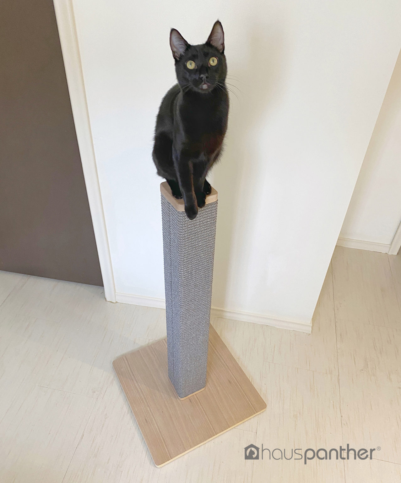 Zip Scratching Post Modern Styling & Elegant Details • hauspanther