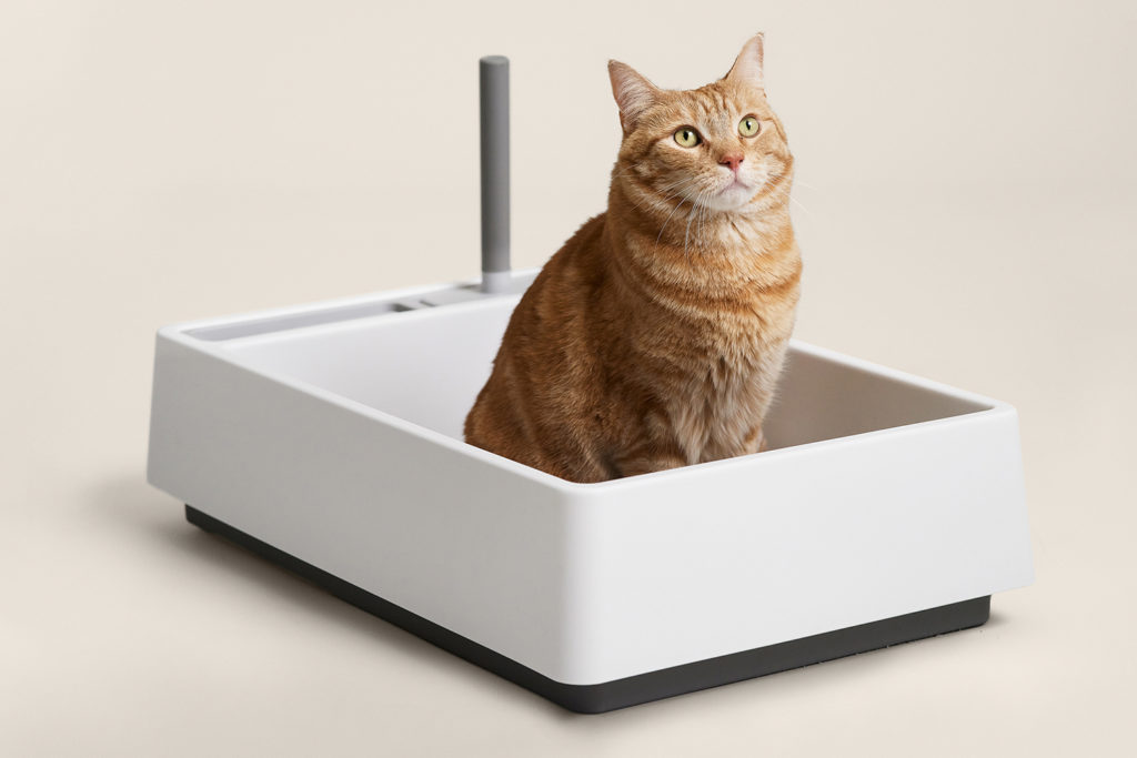 Cove Modern Litter Box Exceeds Expectations • hauspanther