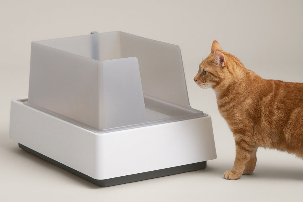 Cove Modern Litter Box Exceeds Expectations • hauspanther