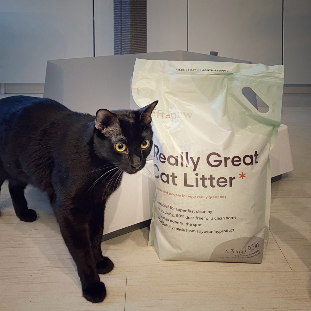 Cove Modern Litter Box Exceeds Expectations • hauspanther
