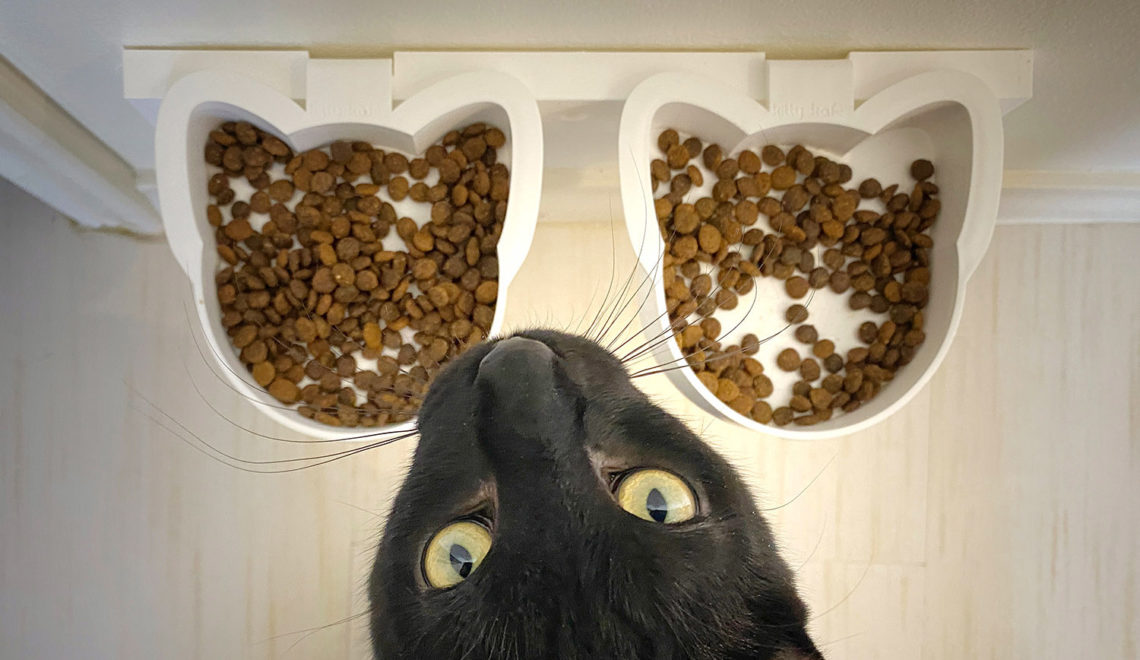 Kitty Kafé Floating Cat Bowls