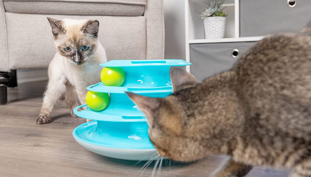 Wobble Track Toys to Keep Cats Busy • hauspanther