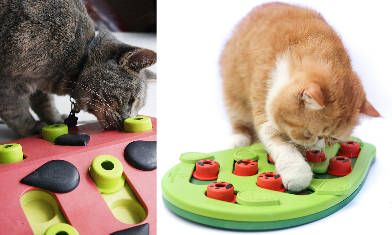 All For Paws Puzzle Cat Feeder Treat Maze Interactive Cat Toy