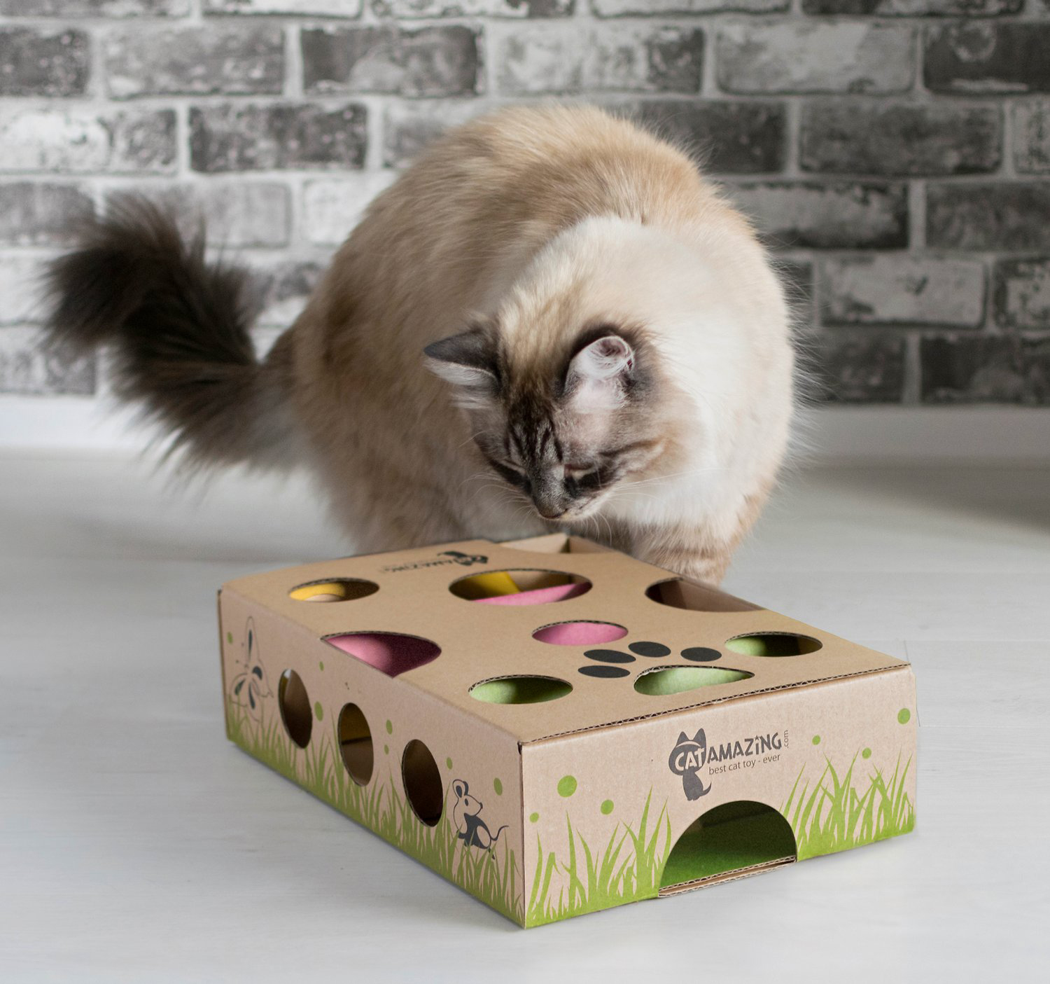 Puzzle Toys for Cats