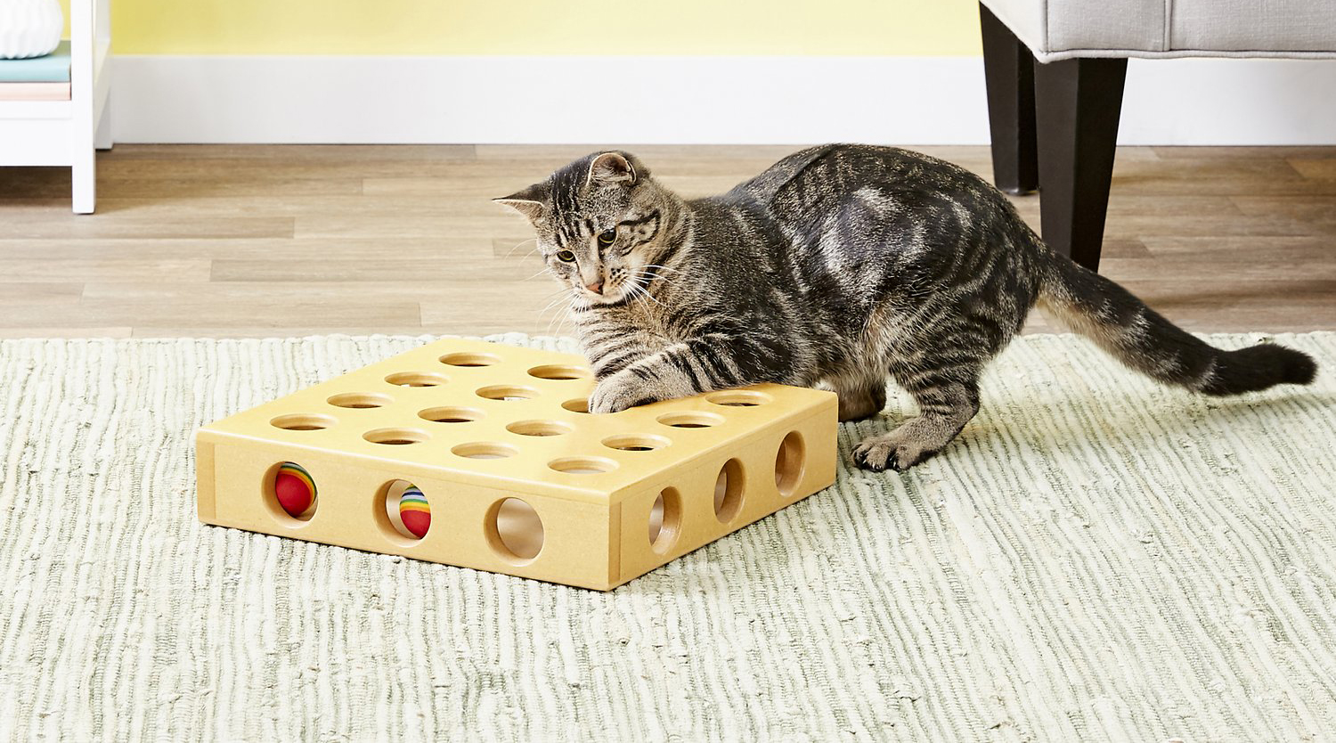 Puzzle Toys for Cats, Cat Games