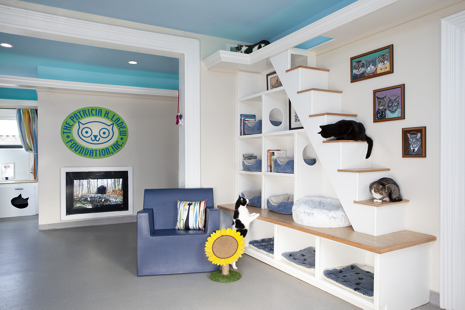 Catified house sales