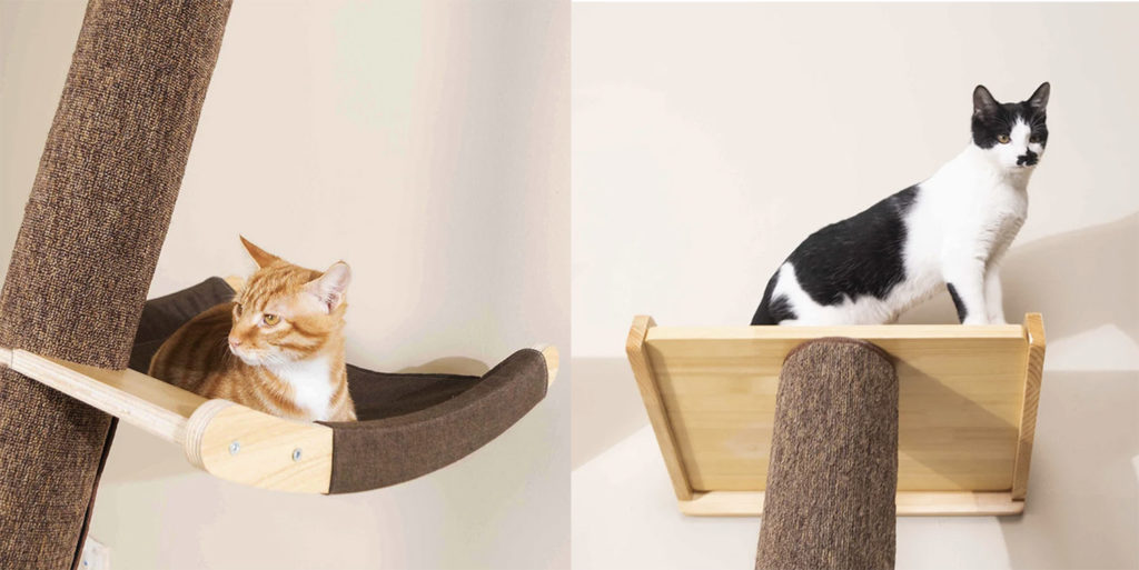 Unique Cat Climbing Pole • hauspanther