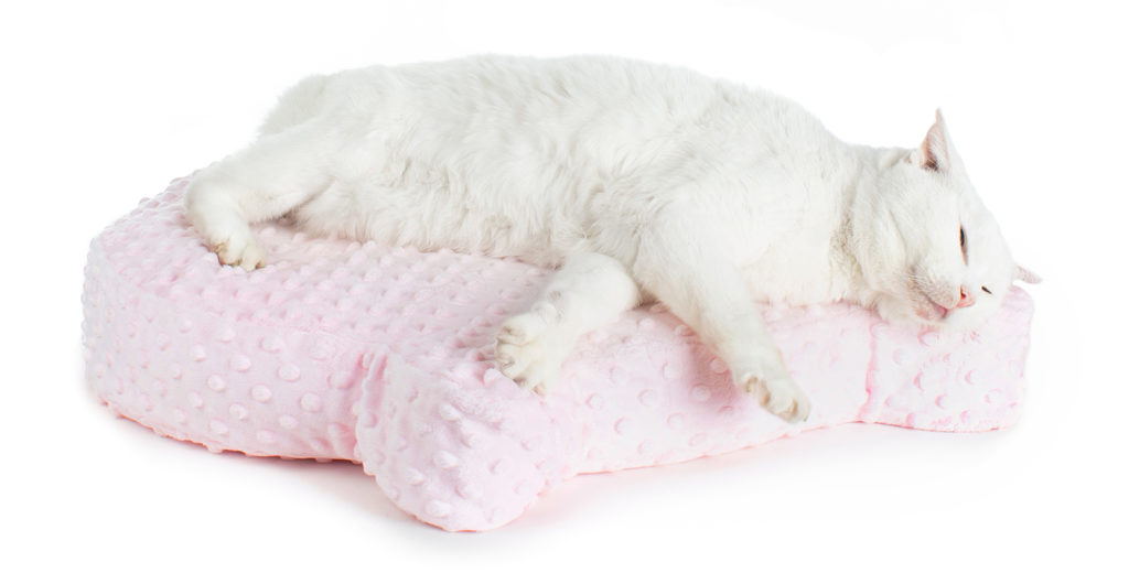 Cute Cat Head Bed Made in the USA