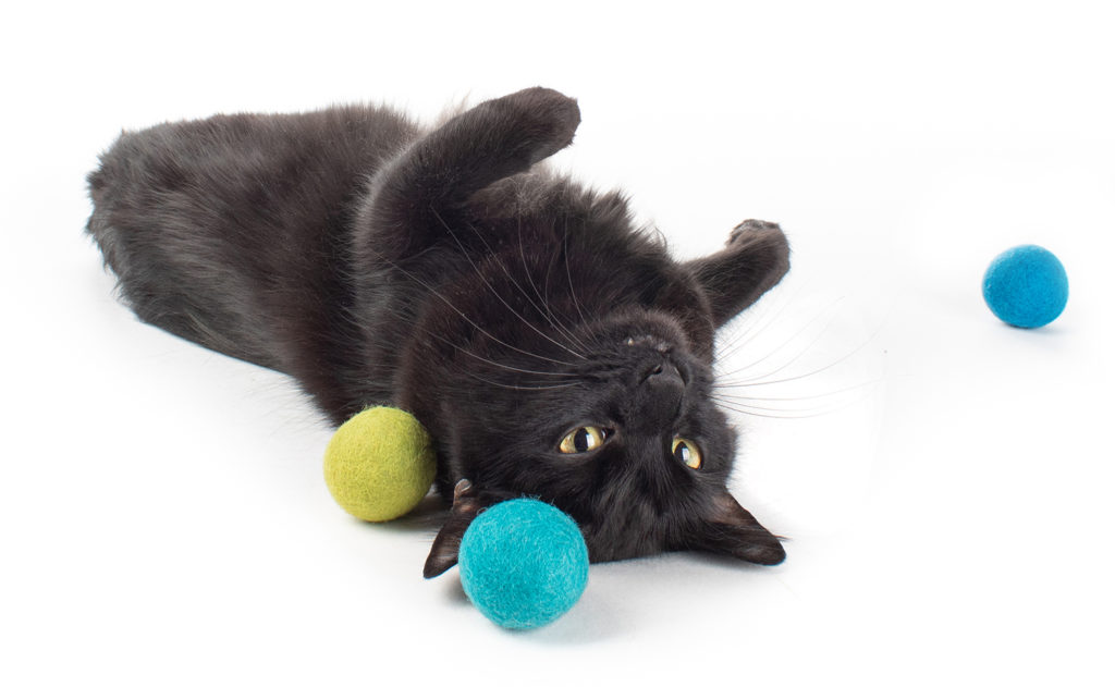 Ecofriendly Wool Felt Cat Toys from Nepal • hauspanther