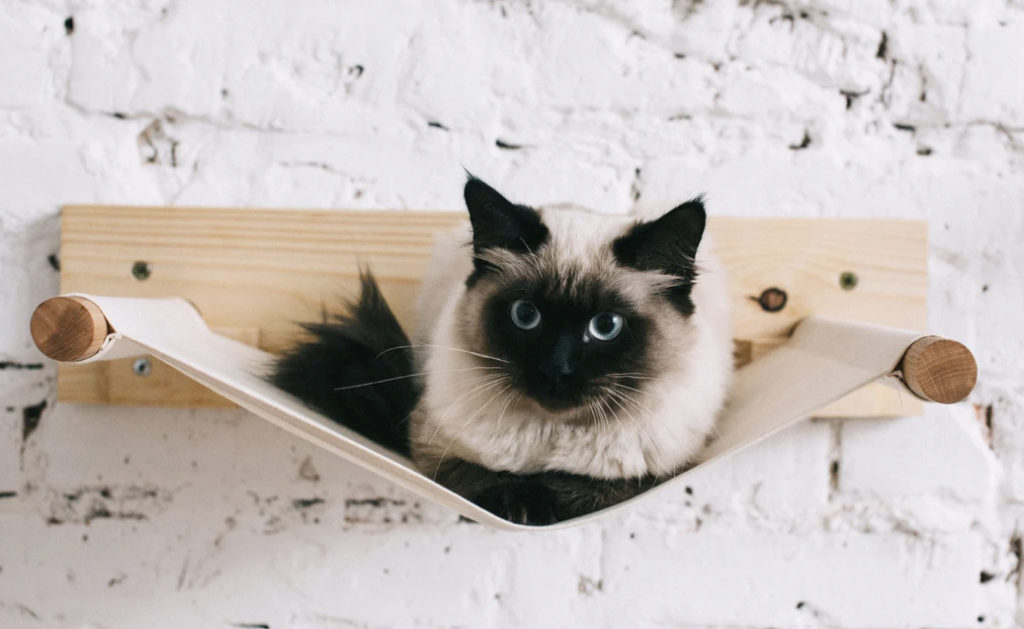 Wallmounted Cat Hammocks • hauspanther