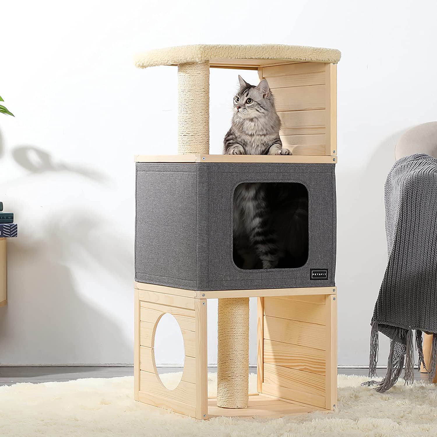 Modern cat discount perch