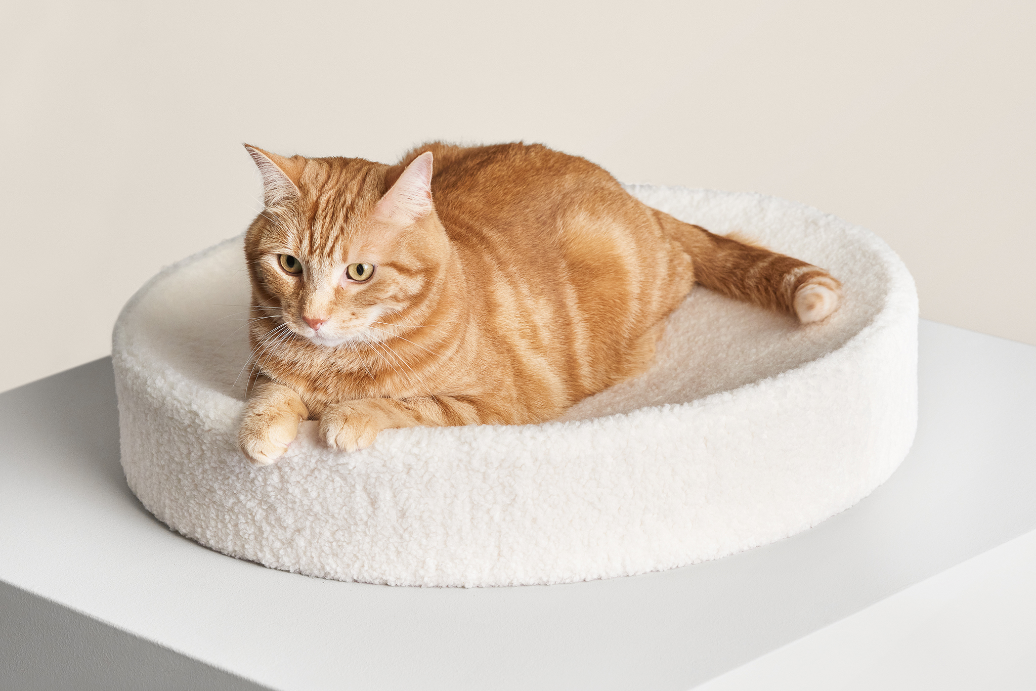 Kip Cat Cushion from Tuft + Paw