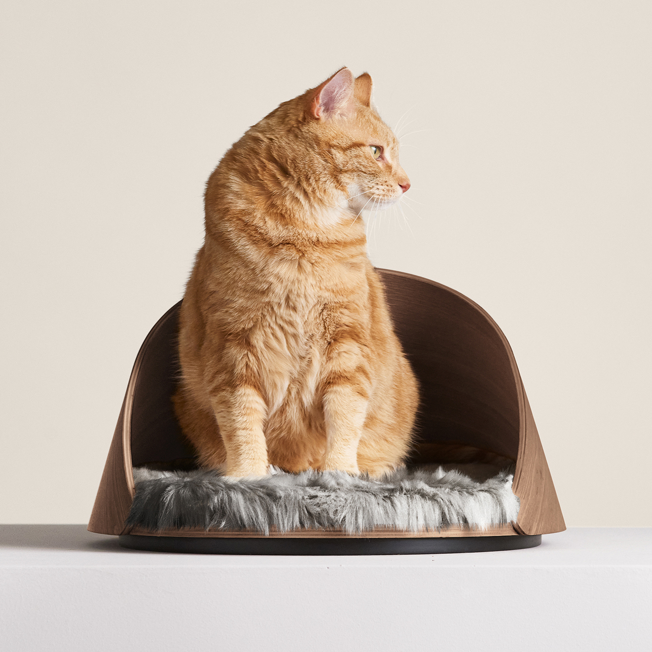Beckon Cat Bed from Tuft + Paw