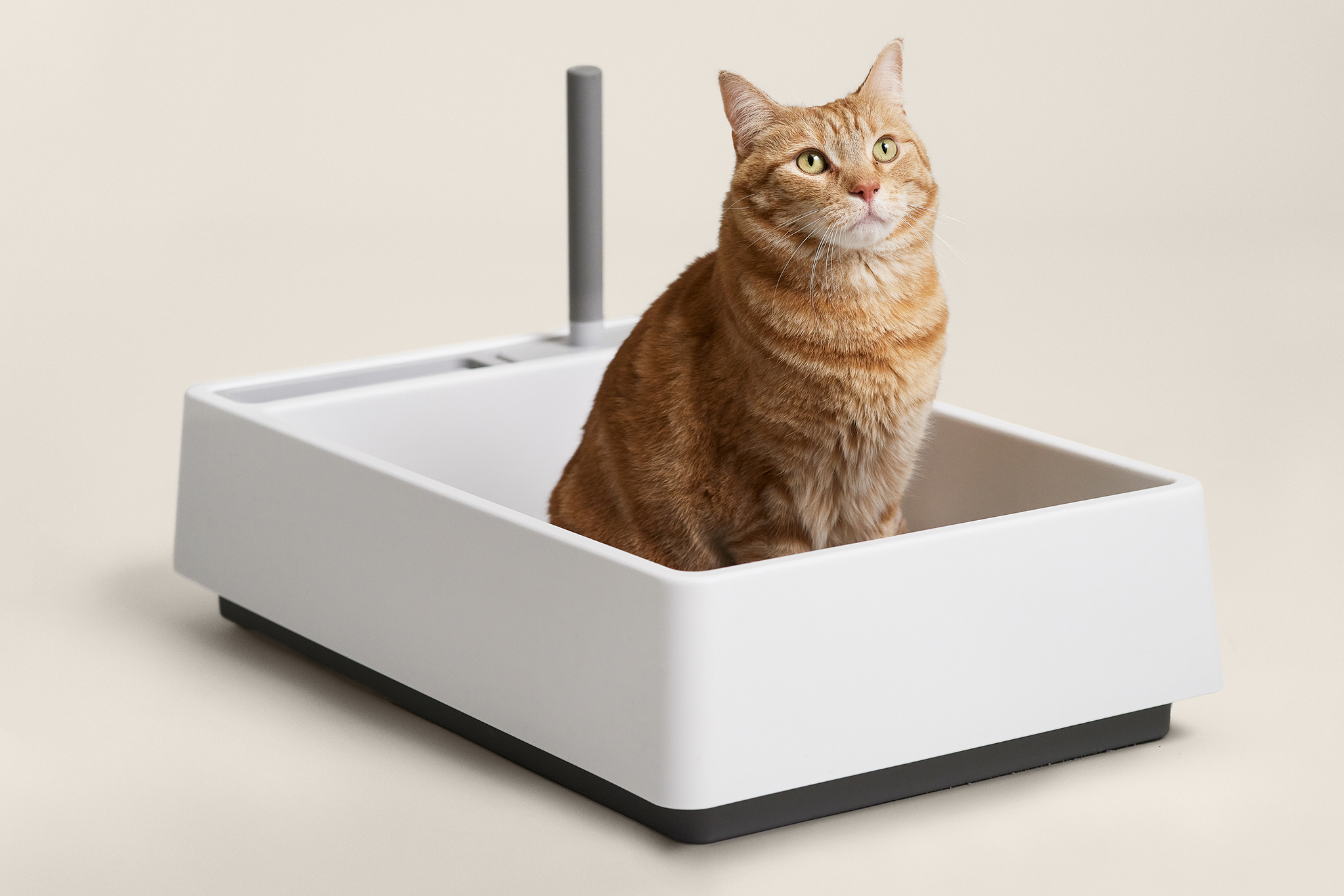 Cove Modern Litter Box from Tuft + Paw