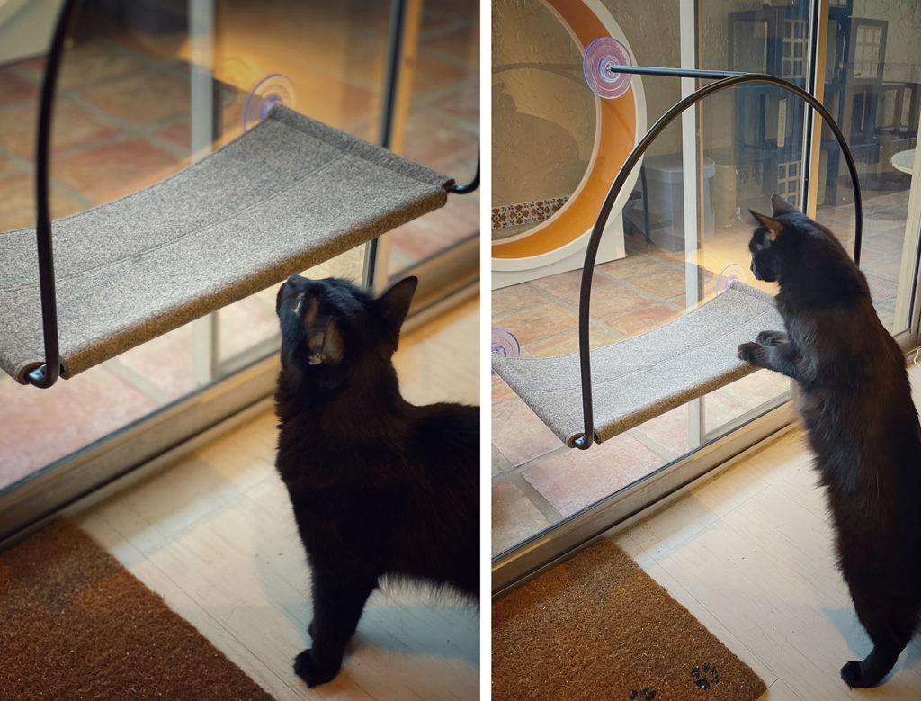 Cloud Nine Modern Cat Window Hammock • hauspanther