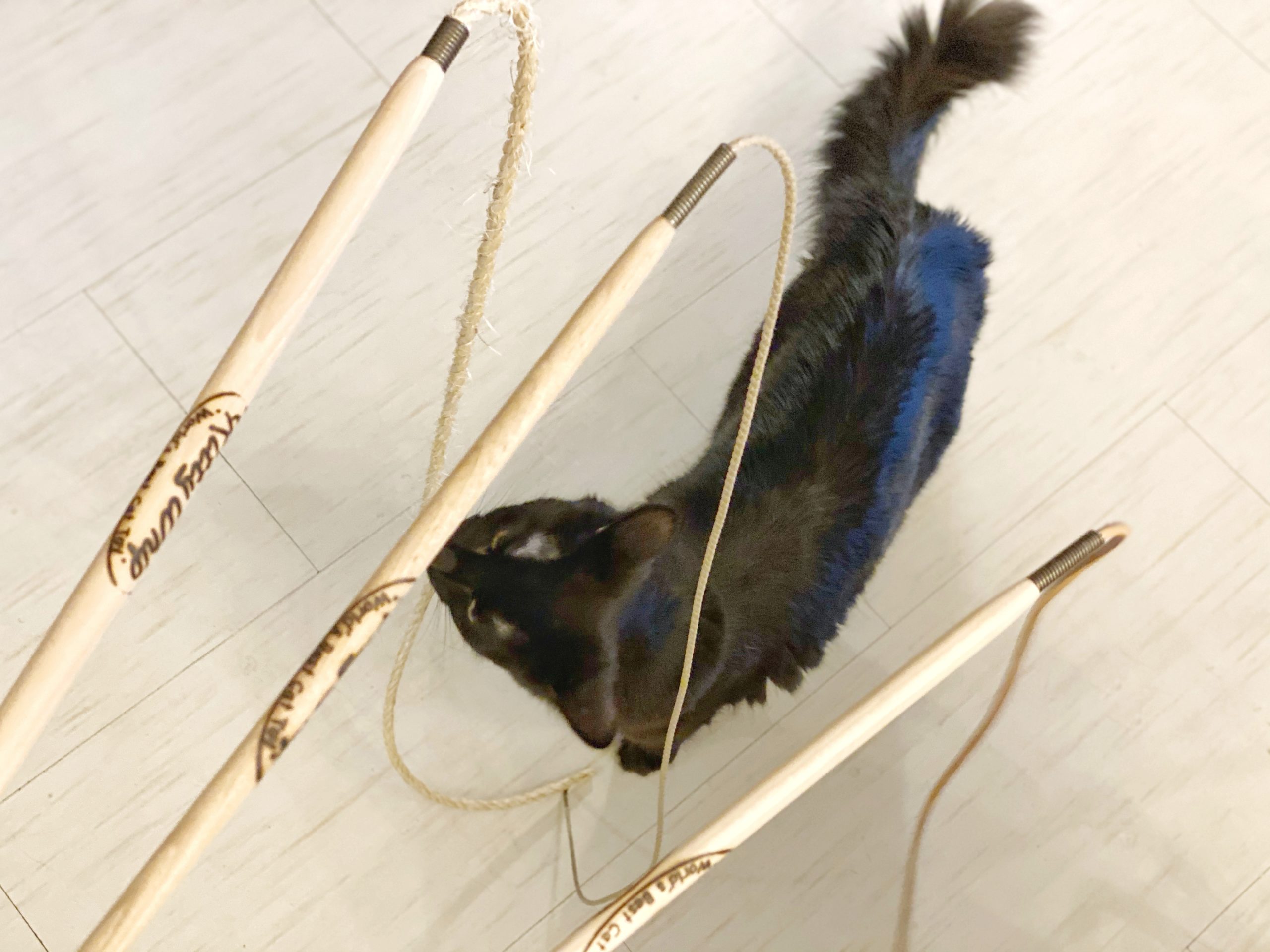KittyWhip Handmade Cat Wand Toys