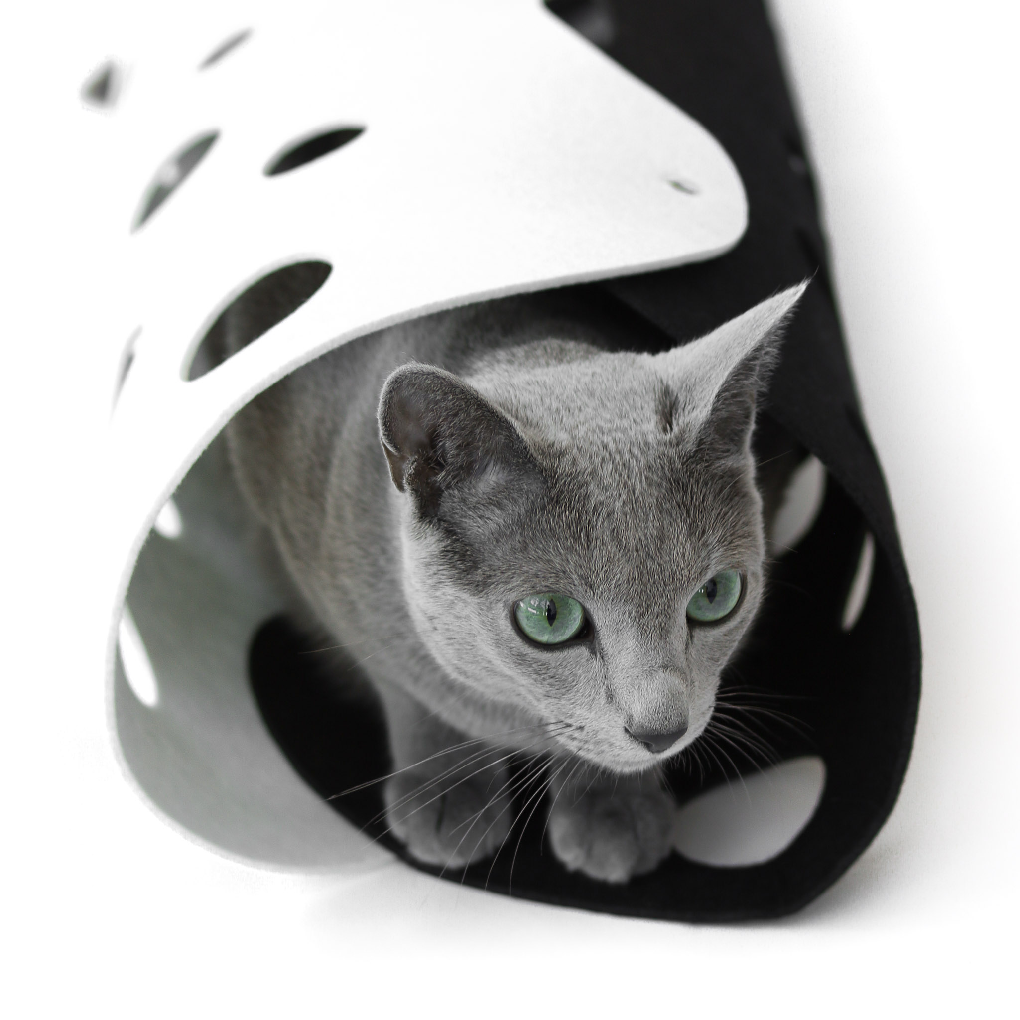 Lima Cat Tunnel from Noots Pets