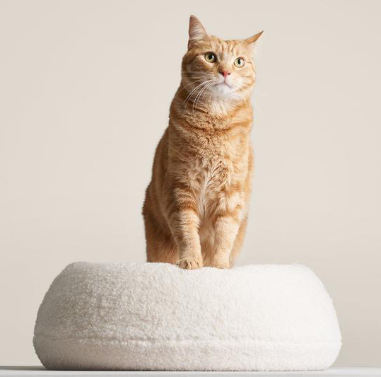 Puff Modern Cat Bed from Tuft + Paw