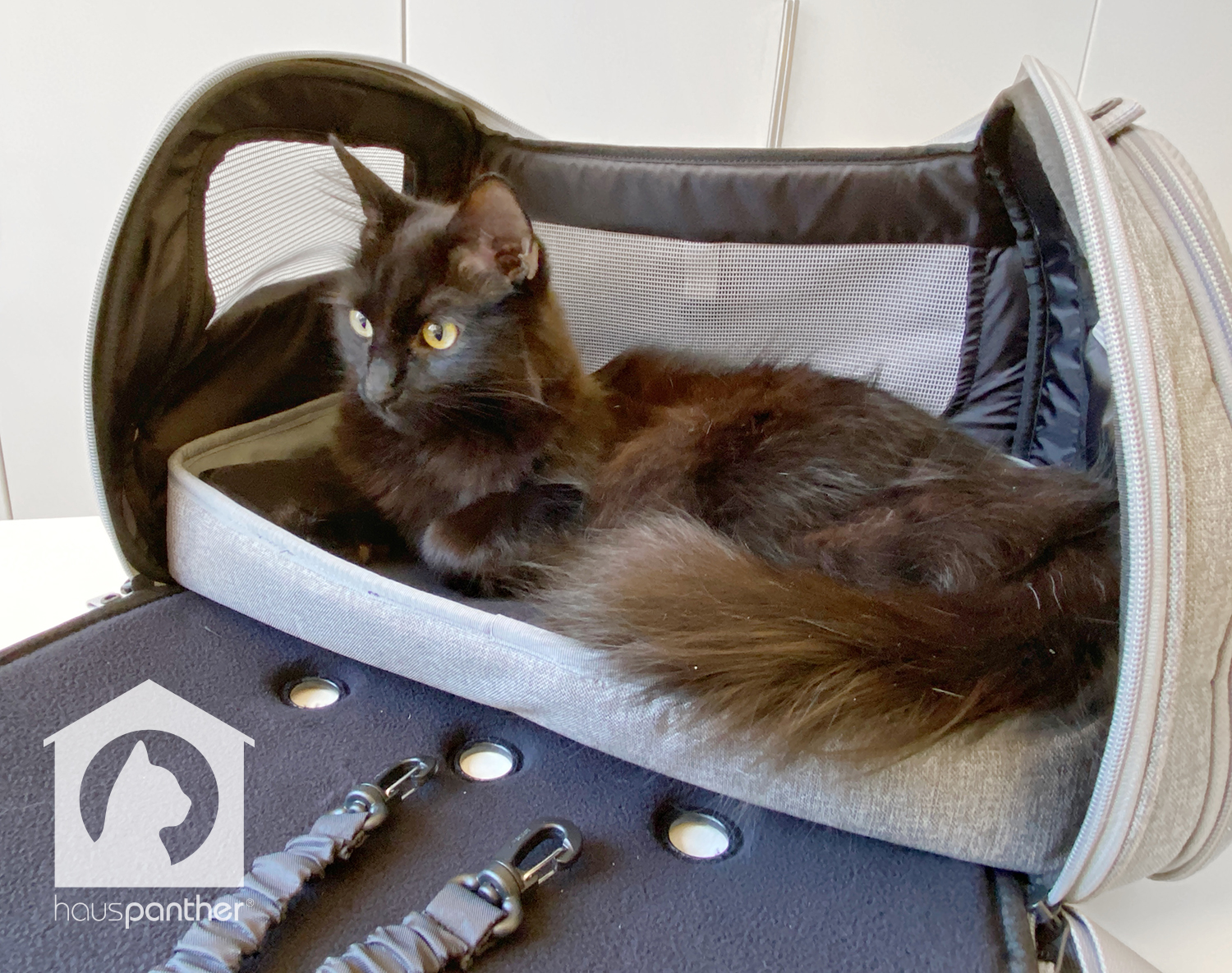 Tuft + Paw launched a new Porto Cat Carrier