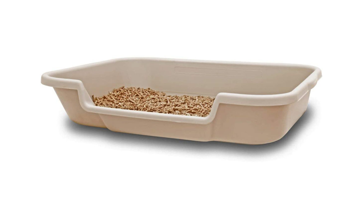 Best Litter Box for Senior Cats