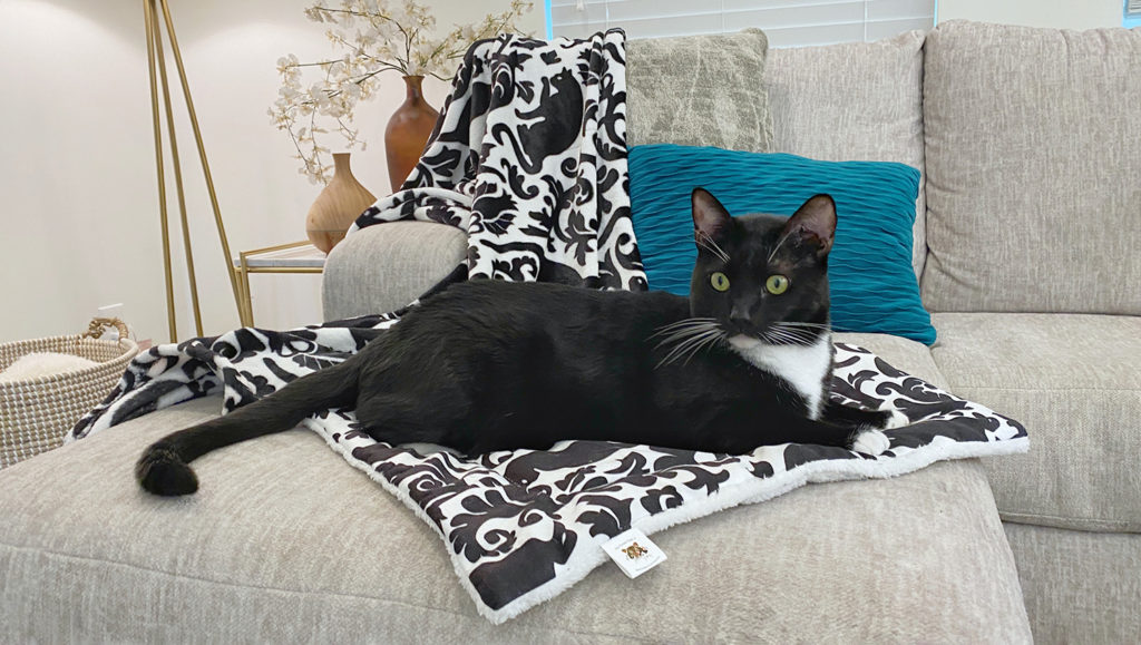 Kitty & Me Soft Fleece Cat Mat & Blanket Sets • hauspanther