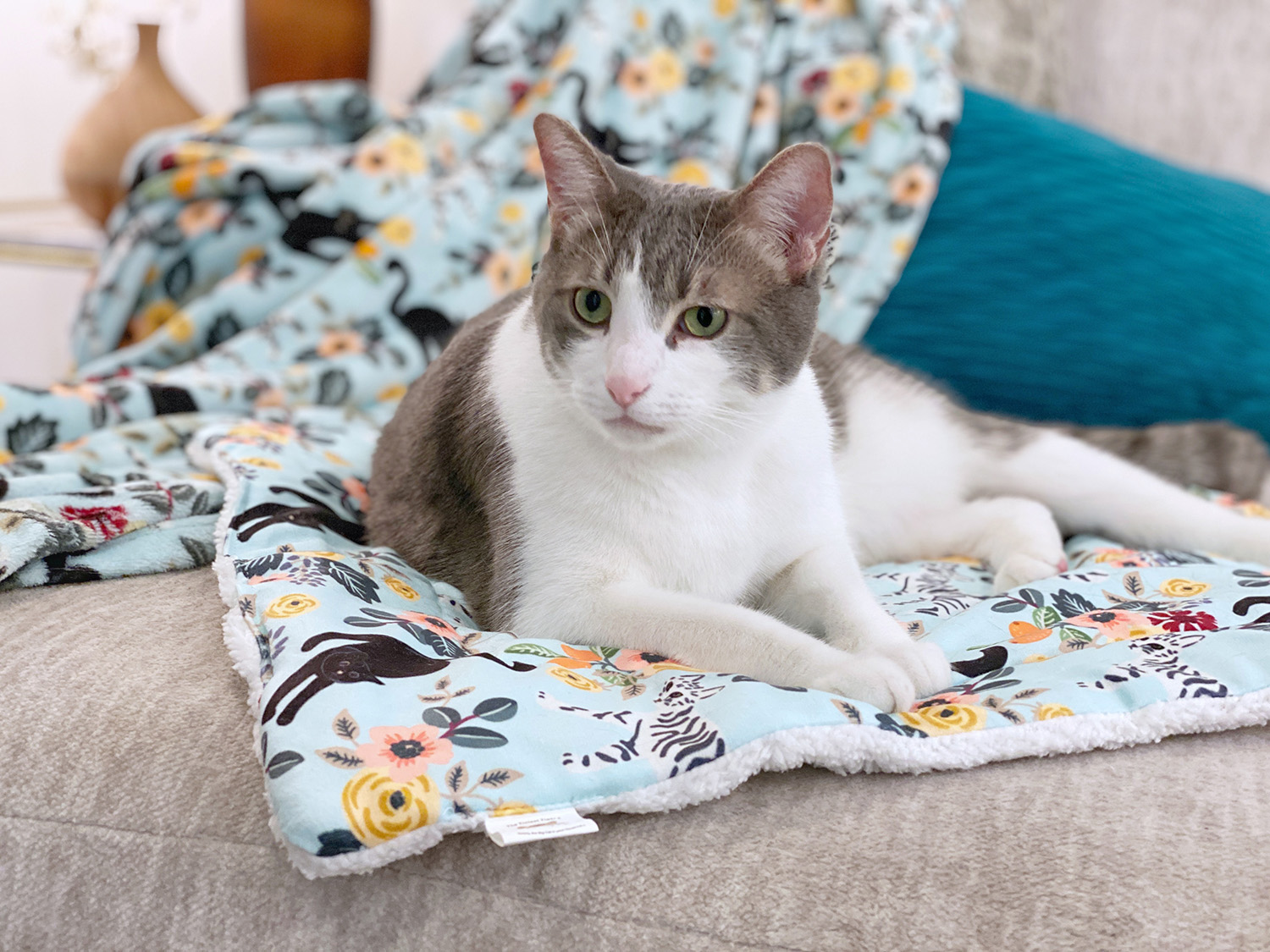 Kitty & Me Soft Fleece Cat Mat & Blanket Sets