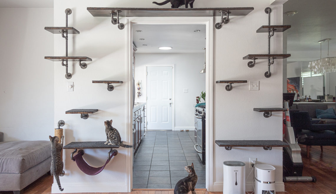 DIY Catification: Industrial Pipe Decor Cat Climbing Wall