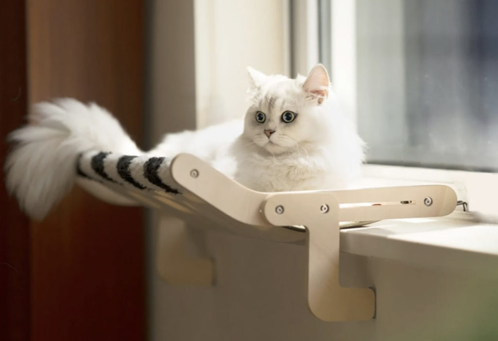 Versatile Cat Perch Attaches to Windowsill, Bed Frame, Dresser Drawer ...