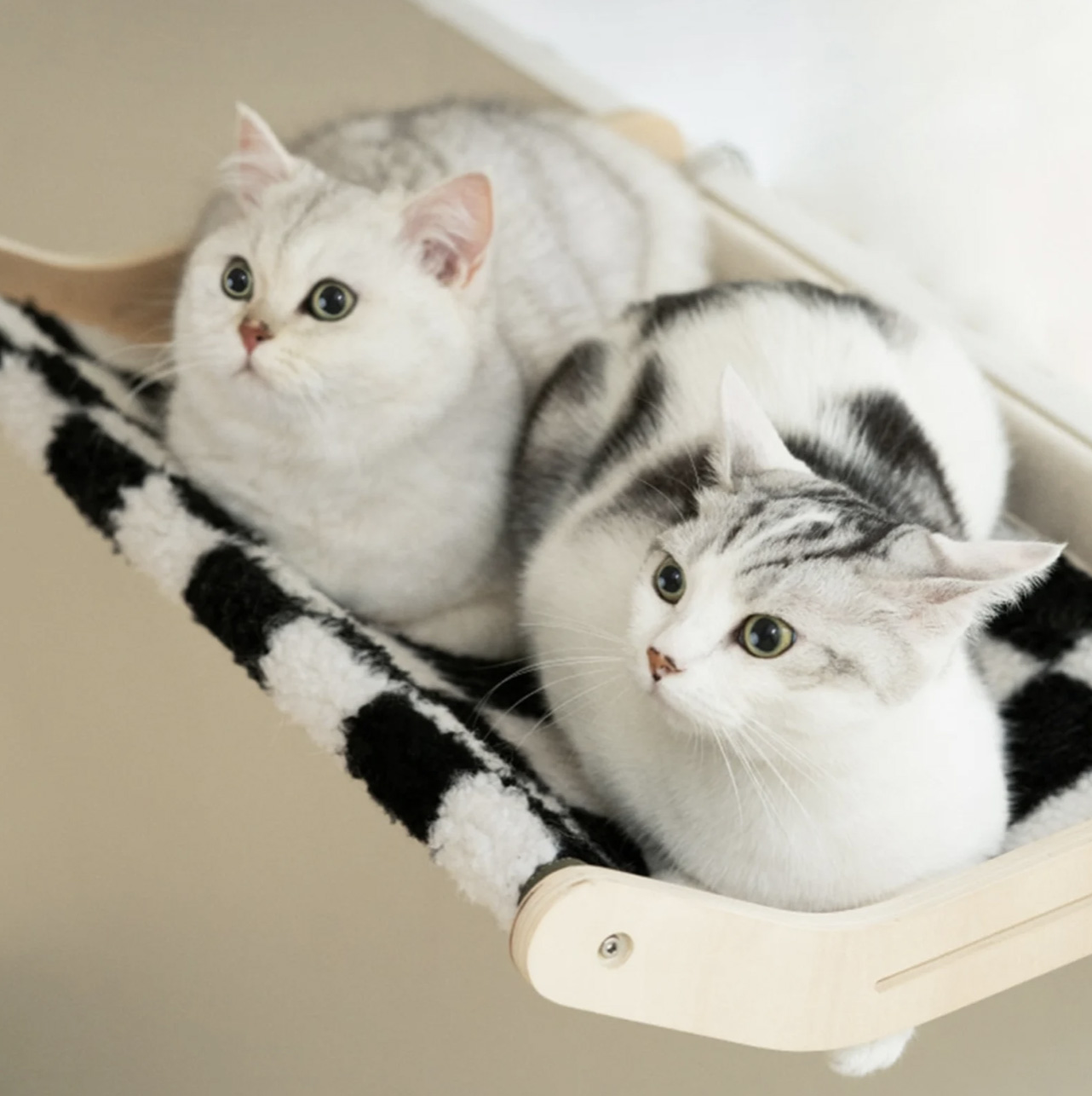 Versatile Cat Perch Attaches to Windowsill, Bed Frame, Dresser Drawer