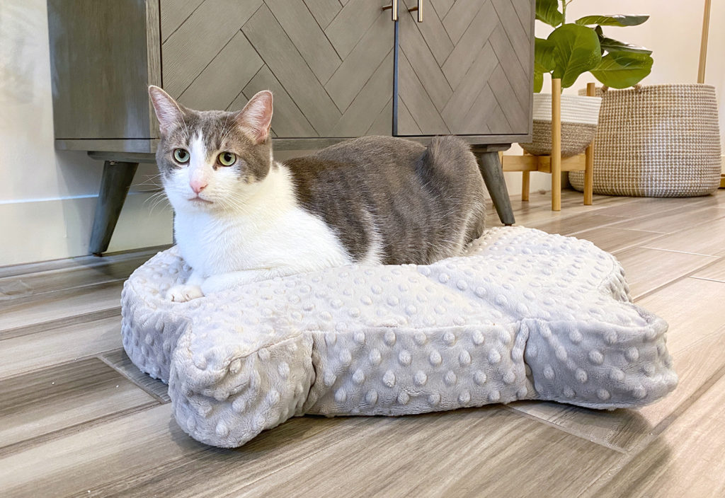 Cat Head Shaped Bed to Keep Kitty Comfy • hauspanther