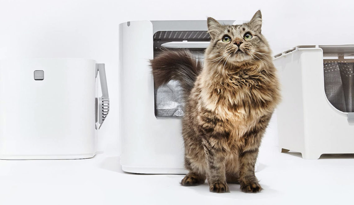 Disguise Your Litter Box with These Designer Options