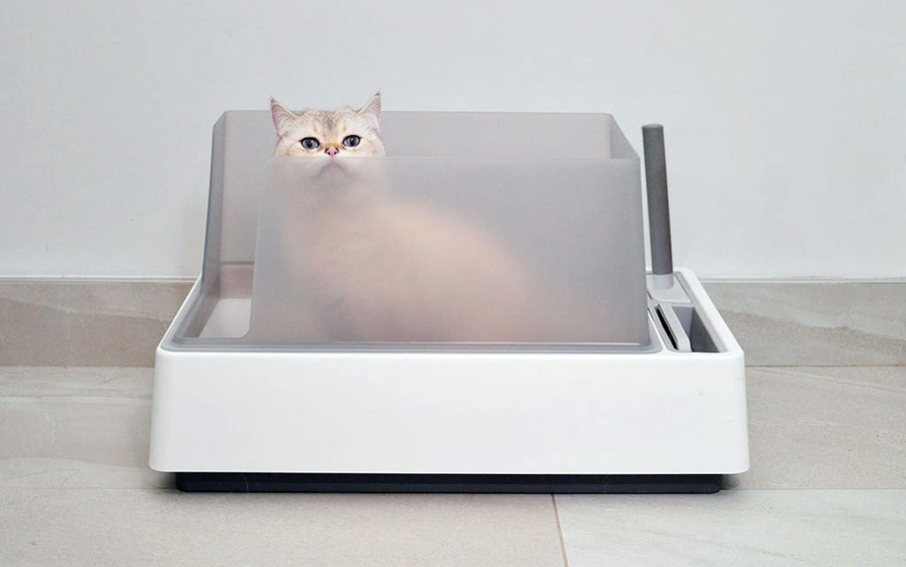 Disguise Your Litter Box with These Designer Options • hauspanther