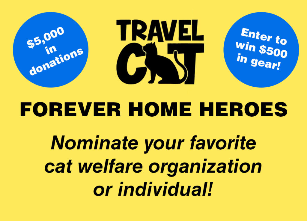Nominate Your Favorite Cat Welfare Organization to Win Cash from Travel