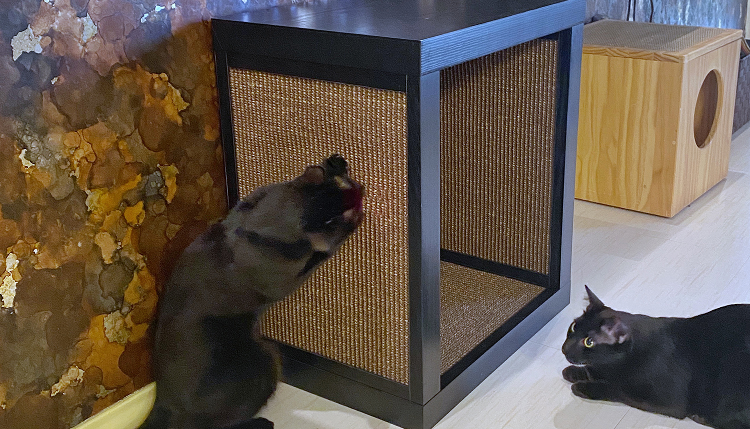 New Bailey Cat Scratcher End Table From Designer Pet Products • hauspanther