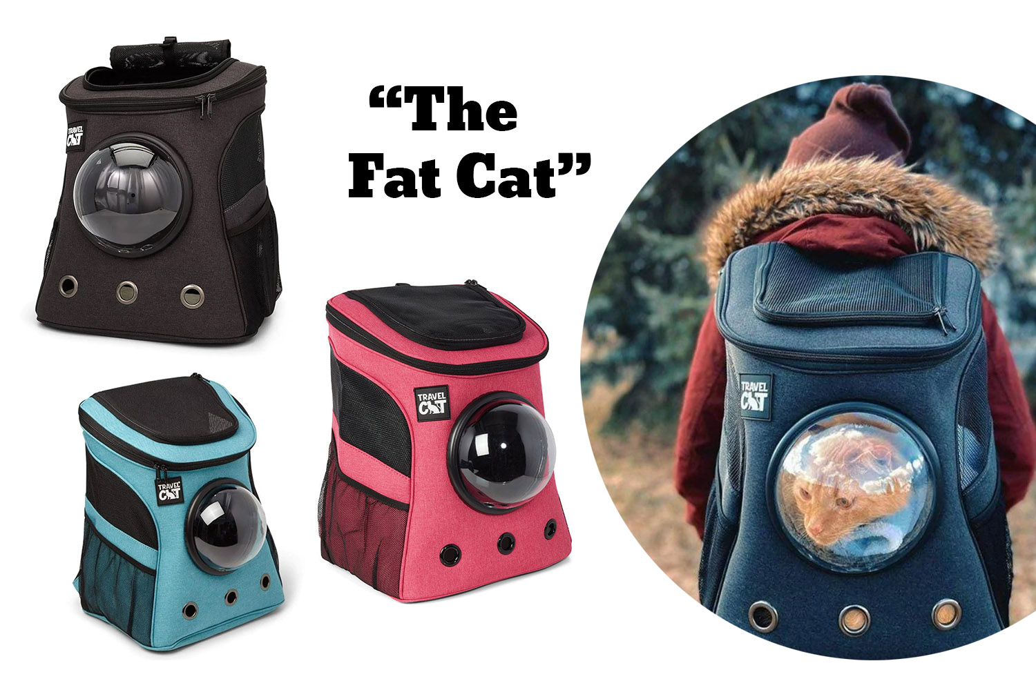 The Fat Cat Cat Backpack - for Larger Cats