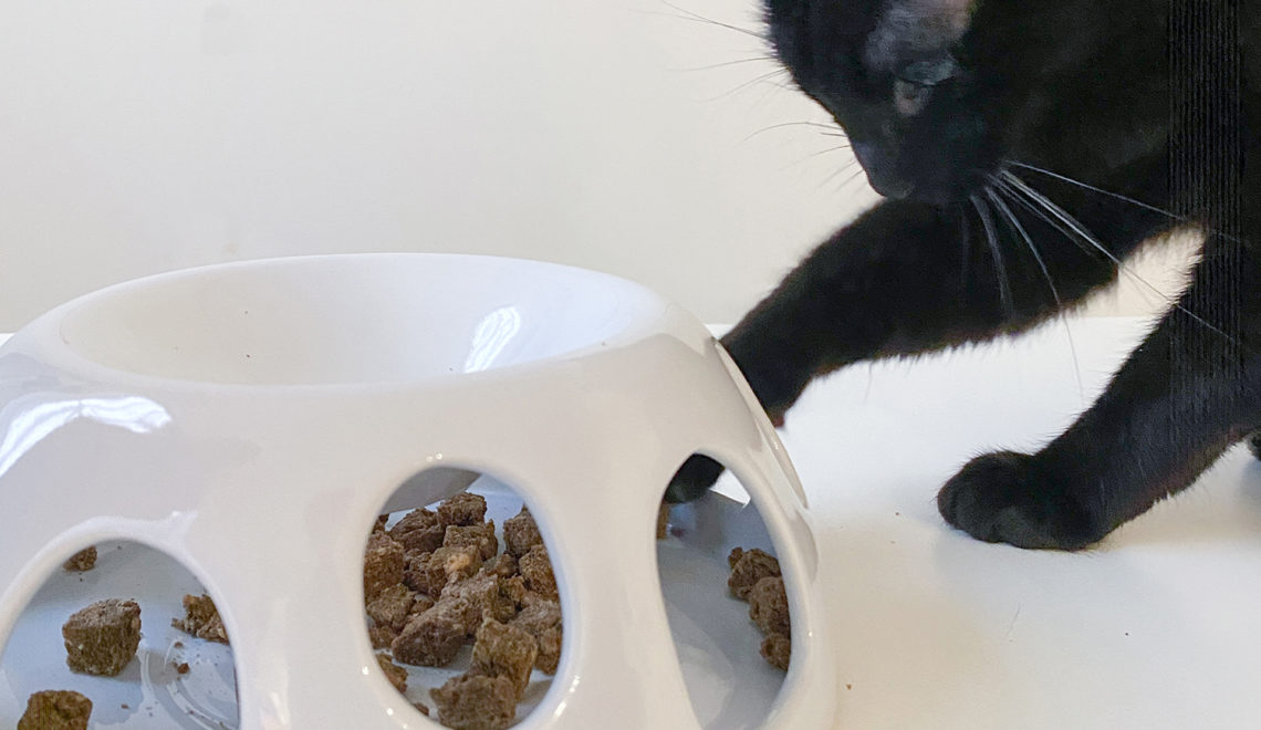 Tiger Diner Ceramic Food Dish Keeps Kitties Active & Slows Speedy Eaters